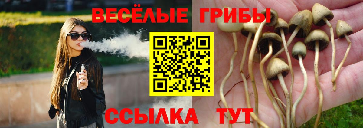 Галлюциногенные грибы мицелий Петрозаводск